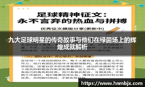 九大足球明星的传奇故事与他们在绿茵场上的辉煌成就解析